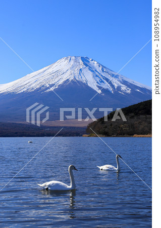 從山中湖出發的富士山 從山中湖出發的富士山 108954982