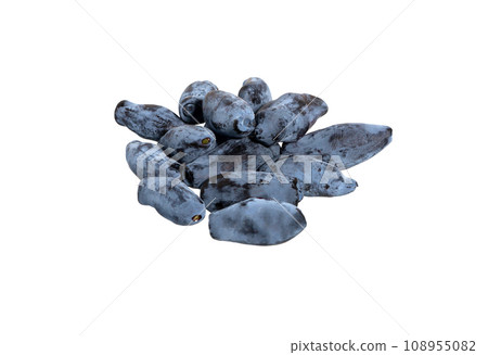 Haskap blue berry Haskap blue berry 108955082