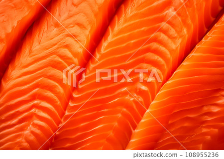 Closeup of the salmon slices with a red streaked texture. Macro photo of natural Atlantic Norwegian trout fillet 108955236