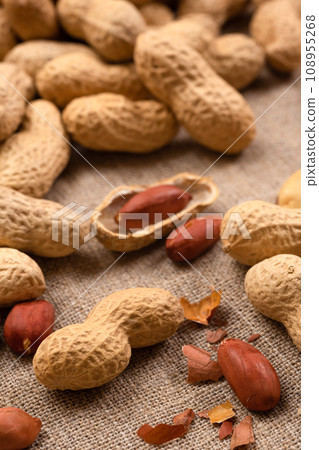Peanuts in shell texture on burlap. Peanut food background 108955268