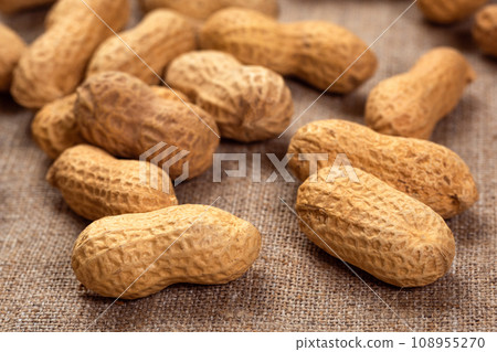 raw peanuts in shell on burlap closeup. Food background of peanuts 108955270