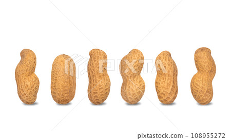 Variety of peanuts in shells of different shapes, isolated on white background Variety of peanuts in shells of different shapes, isolated on white background 108955272
