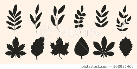 Set of black silhouettes of leaves and tree branch. Botanical icons. Vector illustration. Set of black silhouettes of leaves and tree branch. Botanical icons. Vector illustration. 108955463