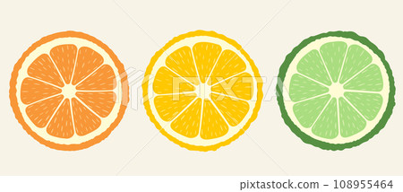 Set of citrus slices of lime, orange and lemon. Vector illustration. 108955464