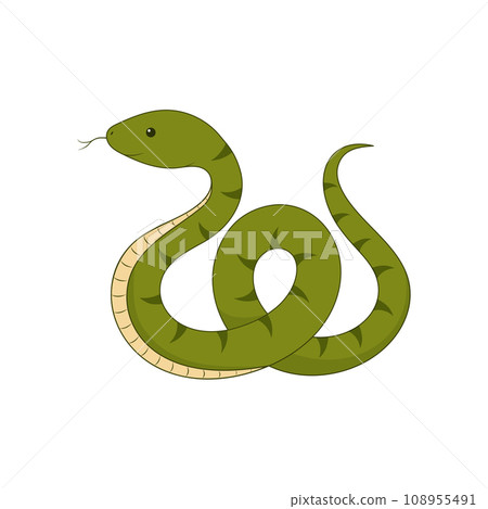 Cute green snake isolated on a white background. Symbol of the New Year 2025. Vector illustration 108955491
