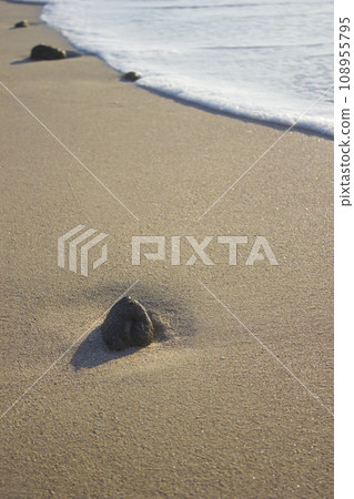 Stone in foam from sea wave on sand sunrise sea 108955795