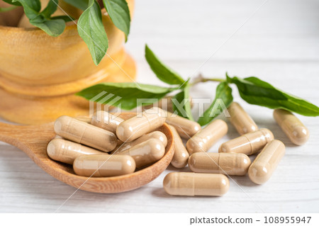 Alternative medicine herbal organic capsule with vitamin E omega 3 fish oil, mineral, drug with herbs leaf natural supplements for healthy good life. Alternative medicine herbal organic capsule with vitamin E omega 3 fish oil, mineral, drug with herbs leaf natural supplements for healthy good life. 108955947
