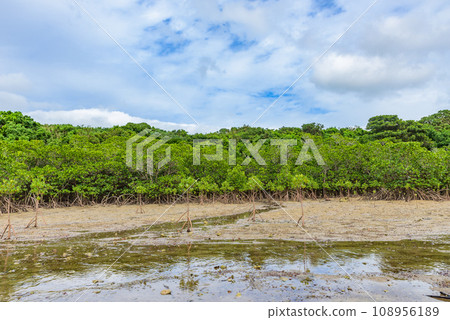 Nagura Anpal（石垣島） 西表石垣國家公園 拉姆薩爾公約註冊地 108956189
