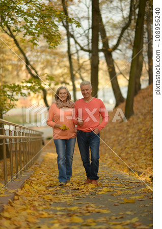 Elderly couple dance in the park in autumn. 108956240