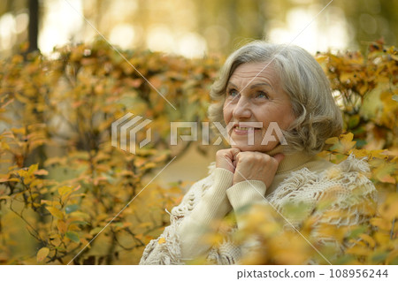Senior woman walking in the park in autumn. Senior woman walking in the park in autumn. 108956244