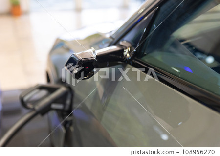 The Power Within: A Close-Up of an Electric Car's Fuel Pump 108956270