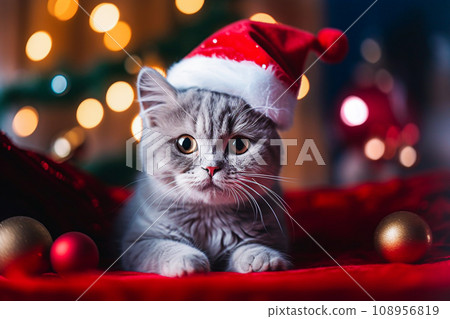 Cute cat in santa hat with christmas decoration on background. Selective focus 108956819