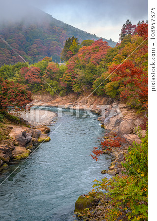 秋天的山青寺【東千熊郡生坂村】 秋天的山青寺【東千熊郡生坂村】 108957375