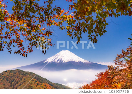 [Yamanashi Prefecture] Night view of autumn leaves, Mt. Fuji, and moonlight 108957756