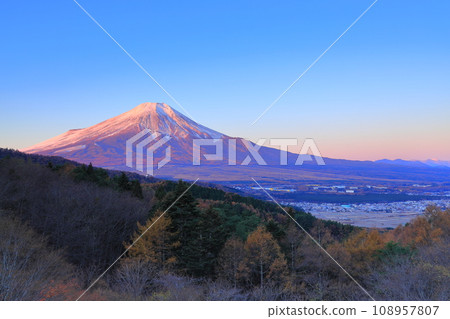 (Yamanashi Prefecture) Autumn leaves of the 20th song pass, Mt. Fuji covered with snow 108957807