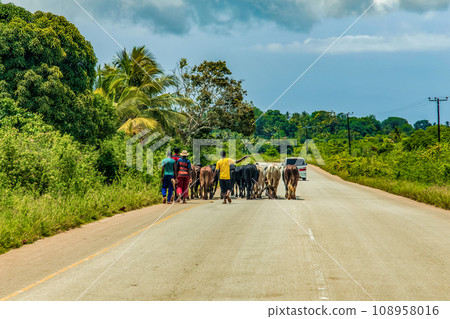African road through village people going about business 108958016