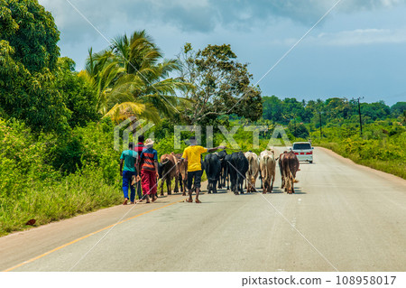 African road through village people going about business 108958017