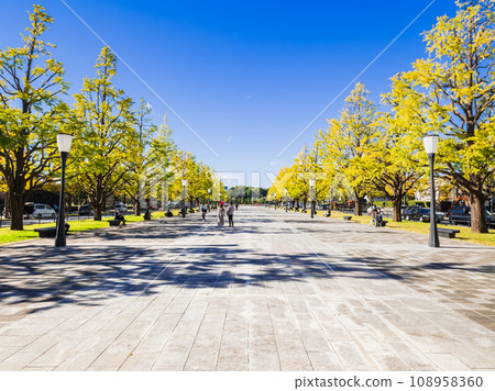 Autumn view of ginkgo trees along Gyoko Street in front of Tokyo Station 108958360