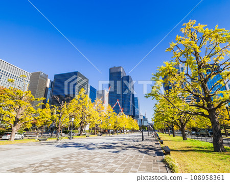 東京車站前行幸街的銀杏樹秋景 108958361