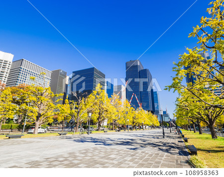東京車站前行幸街的銀杏樹秋景 108958363