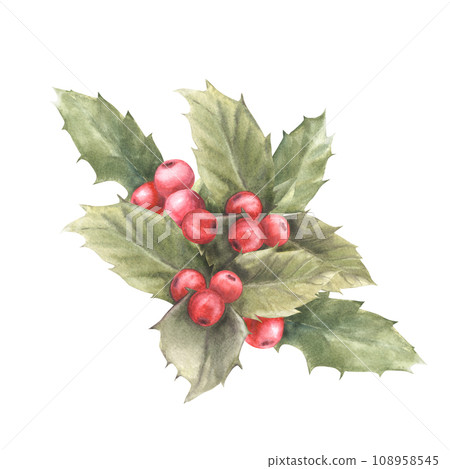 Watercolor painted branches holly leaves and red berries arrangement Illustration. Christmas and New Year plant symbol for your card design, winter holiday celebrate decor.Isolated on white background Watercolor painted branches holly leaves and red berries arrangement Illustration. Christmas and New Year plant symbol for your card design, winter holiday celebrate decor.Isolated on white background 108958545