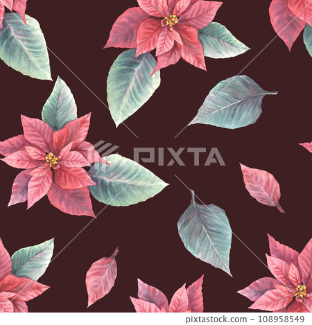 Watercolor painted illustration of red poinsettia, pulcherrima flowers, leaves seamless pattern. Traditional plant for Christmas or New Year decor, gift wrapping, cover art. Isolated, dark background Watercolor painted illustration of red poinsettia, pulcherrima flowers, leaves seamless pattern. Traditional plant for Christmas or New Year decor, gift wrapping, cover art. Isolated, dark background 108958549