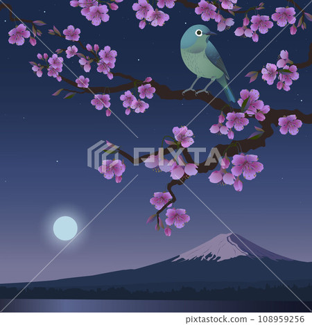nightingale on a branch night landscape 108959256