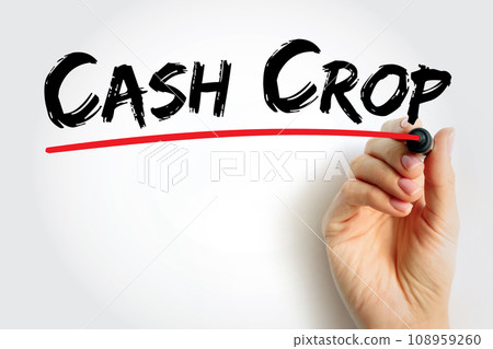Cash Crop is an agricultural crop which is grown to sell for profit, text concept background Cash Crop is an agricultural crop which is grown to sell for profit, text concept background 108959260