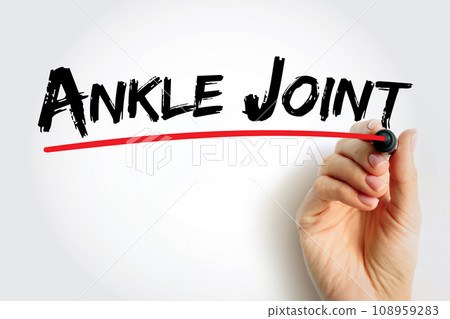 Ankle Joint is a synovial joint located in the lower limb, text concept background 108959283