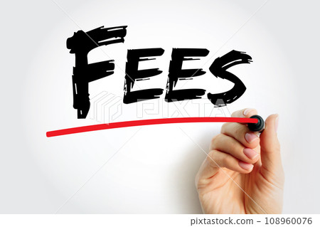 FEES - the price one pays as remuneration for rights or services, text concept background 108960076