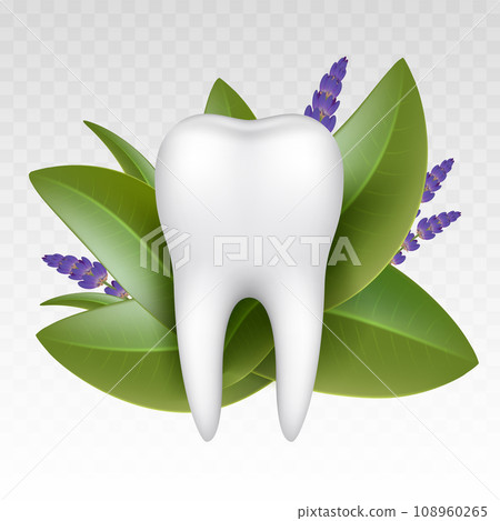 White healthy tooth next to medicinal herbs 108960265