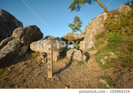 一個惡魔的橋樑 108960329