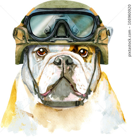 Watercolor portrait of bulldog in military tactical helmet Watercolor portrait of bulldog in military tactical helmet 108960920
