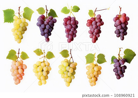 different types of grapes of various colors isolated on white background 108960921