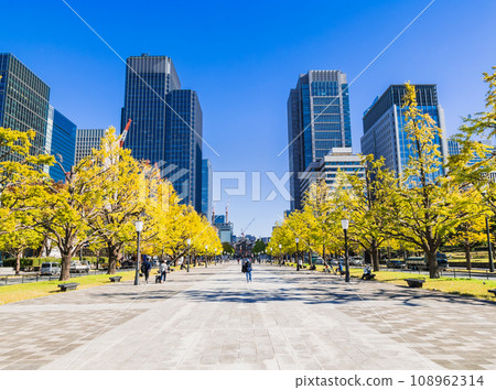 東京車站前行幸街的銀杏樹秋景 東京車站前行幸街的銀杏樹秋景 108962314