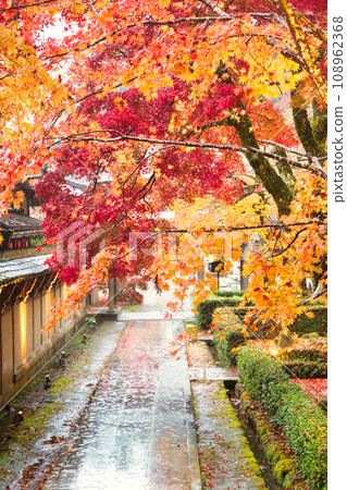 Autumn leaves at Eigenji Temple, Shiga Autumn leaves at Eigenji Temple, Shiga 108962368