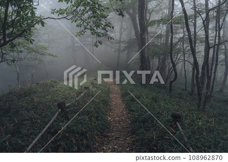 Ogudahigahara of fog 108962870