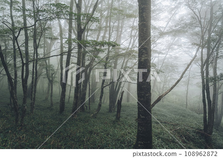 Mountain covered in fog 108962872