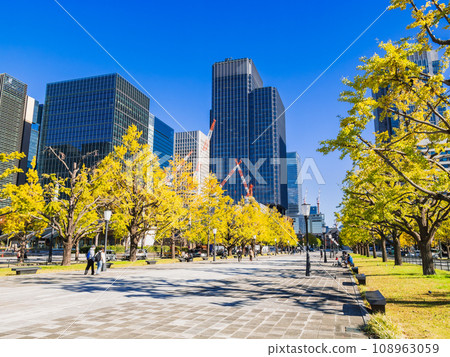 東京車站前行幸街的銀杏樹秋景 108963059
