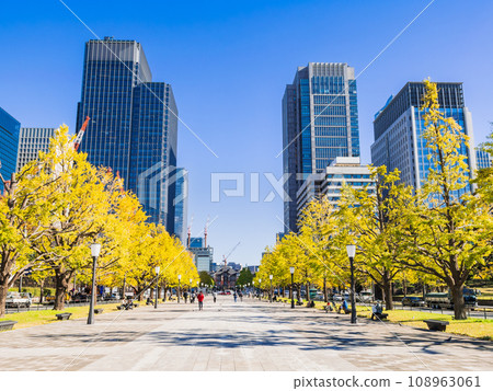東京車站前行幸街的銀杏樹秋景 108963061