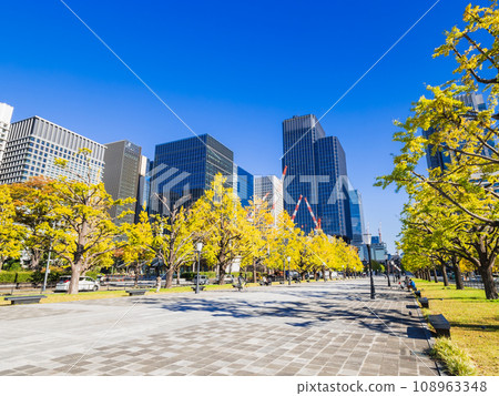 Autumn view of ginkgo trees along Gyoko Street in front of Tokyo Station 108963348