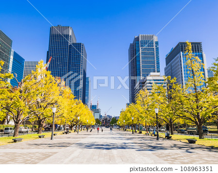 東京車站前行幸街的銀杏樹秋景 108963351