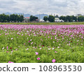 花園 108963530