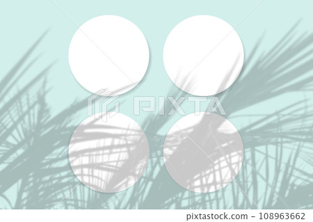 Natural light casts shadows from the plant on 4 round sheets of white textured paper lying on a blue textured background. Mockup 108963662