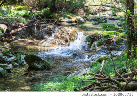 Pincho Waterfall near Viana do Castelo, Northern Portugal. View of the flowing water and beautiful lagoon, in the woods 108963735
