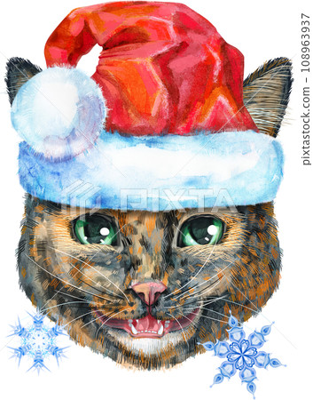 Lovely closeup portrait of Short-haired tortoiseshell cat in Santa hat. Hand drawn watercolor painting on white background Lovely closeup portrait of Short-haired tortoiseshell cat in Santa hat. Hand drawn watercolor painting on white background 108963937