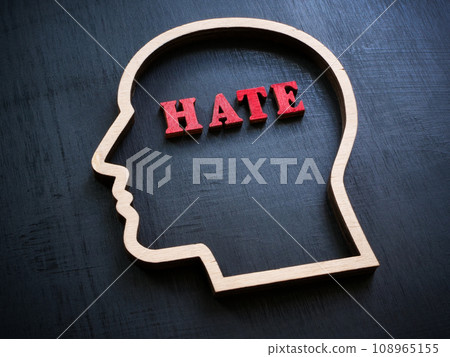 Outline of a head with the inscription hate inside. 108965155