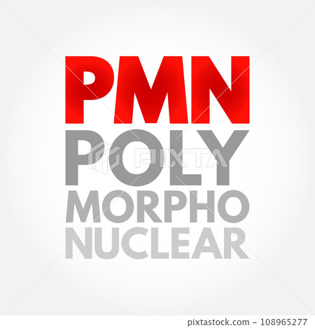 PMN PolyMorphoNuclear - having a nucleus with several lobes and a cytoplasm that contains granules, as in an eosinophil or basophil, acronym text concept background PMN PolyMorphoNuclear - having a nucleus with several lobes and a cytoplasm that contains granules, as in an eosinophil or basophil, acronym text concept background 108965277