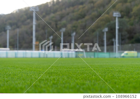 Young green grass on the football pitch. Young green grass on the football pitch. 108966152