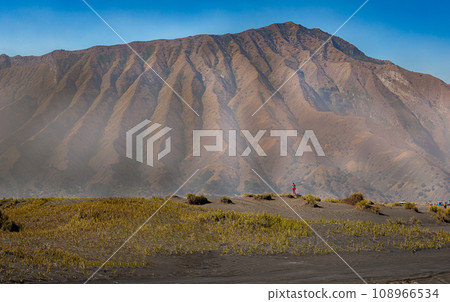 Bromo in the beautiful morning 108966534